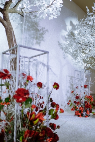 Зона церемании