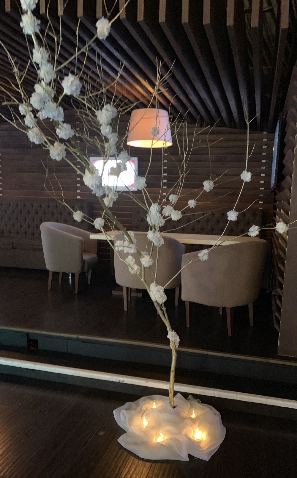 Золотое дерево - сакура