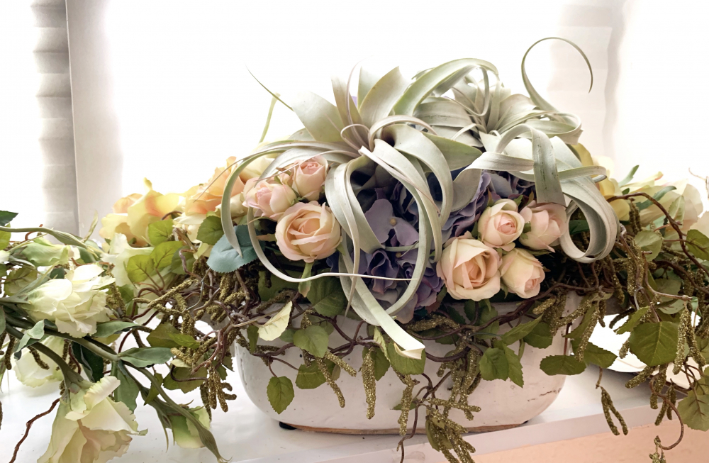 Композиция с атмосферными тилландсиями