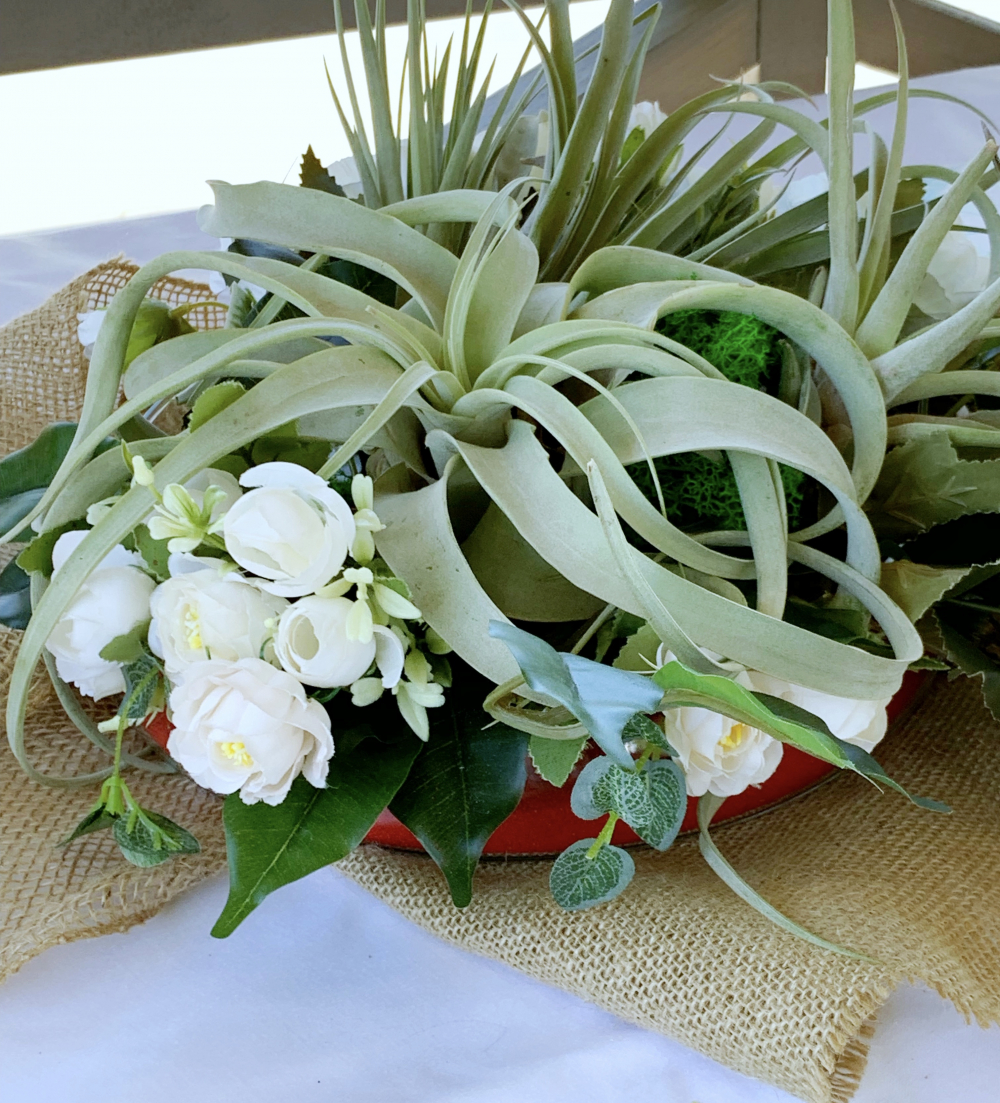 Композиция с атмосферными тилландсиями и цветами