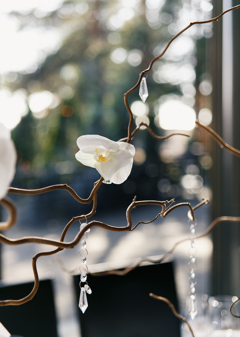 Хрустальная годовщина свадьбы в ресторане Атлантис, Солнечное