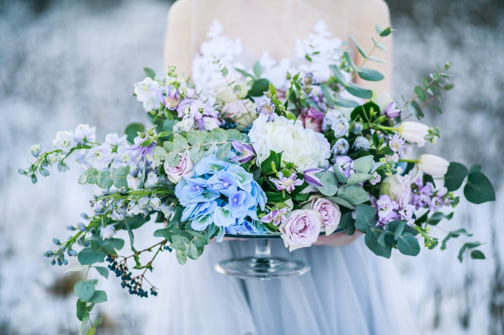 Флористика