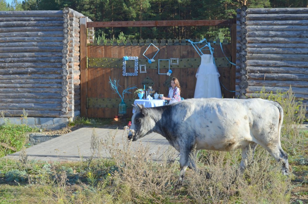 Утро невесты в русском стиле))