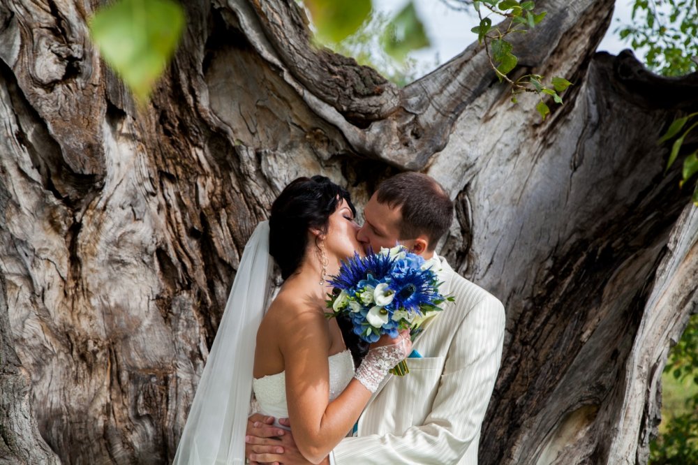 Поцелуй жениха и невесты под деревом