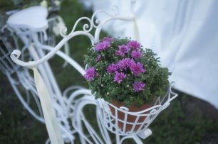 Велосипед в декоре свадьбы