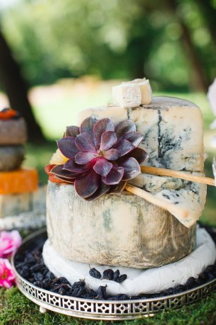 Сырный стол украшенный суккулентой