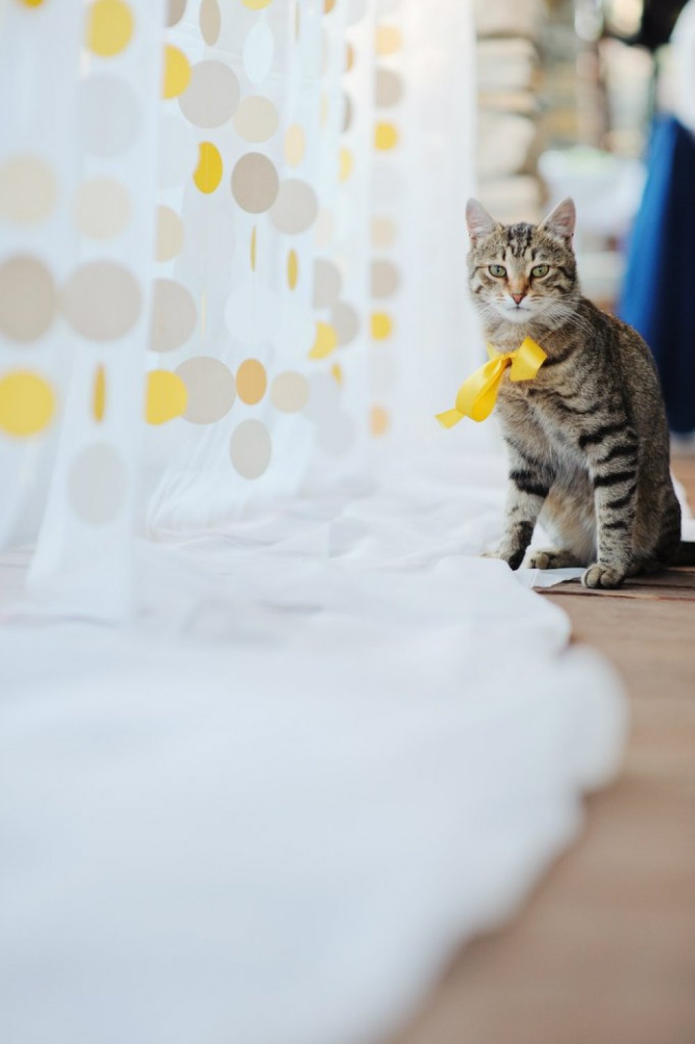 Sunflower Love
фотограф Михаил Круглов