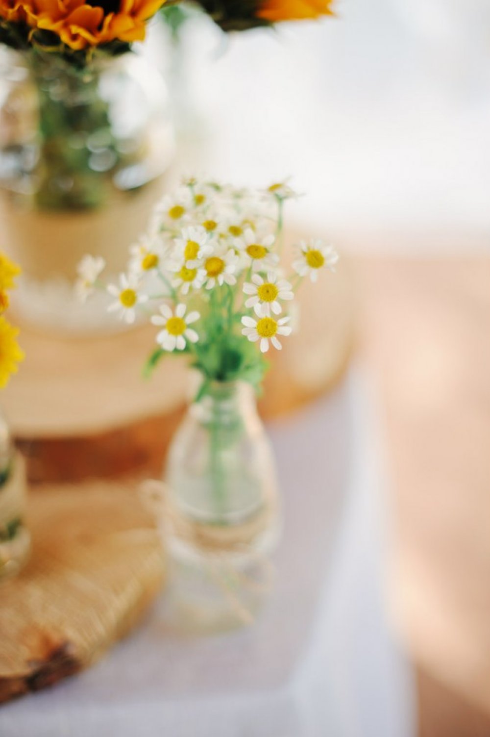Sunflower Love
фотограф Михаил Круглов
