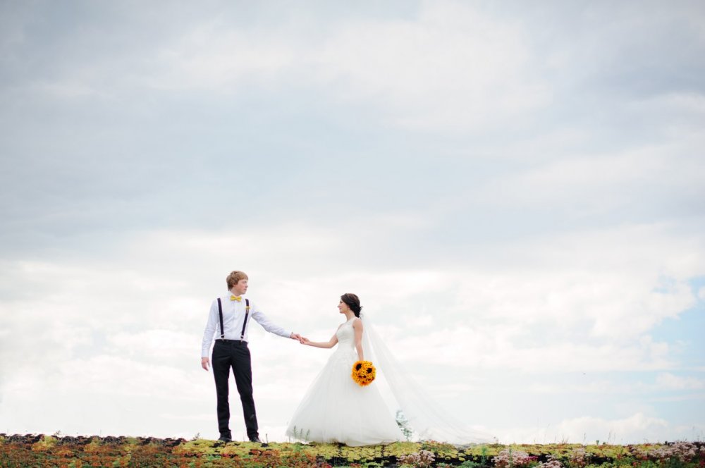 Sunflower Love
фотограф Михаил Круглов