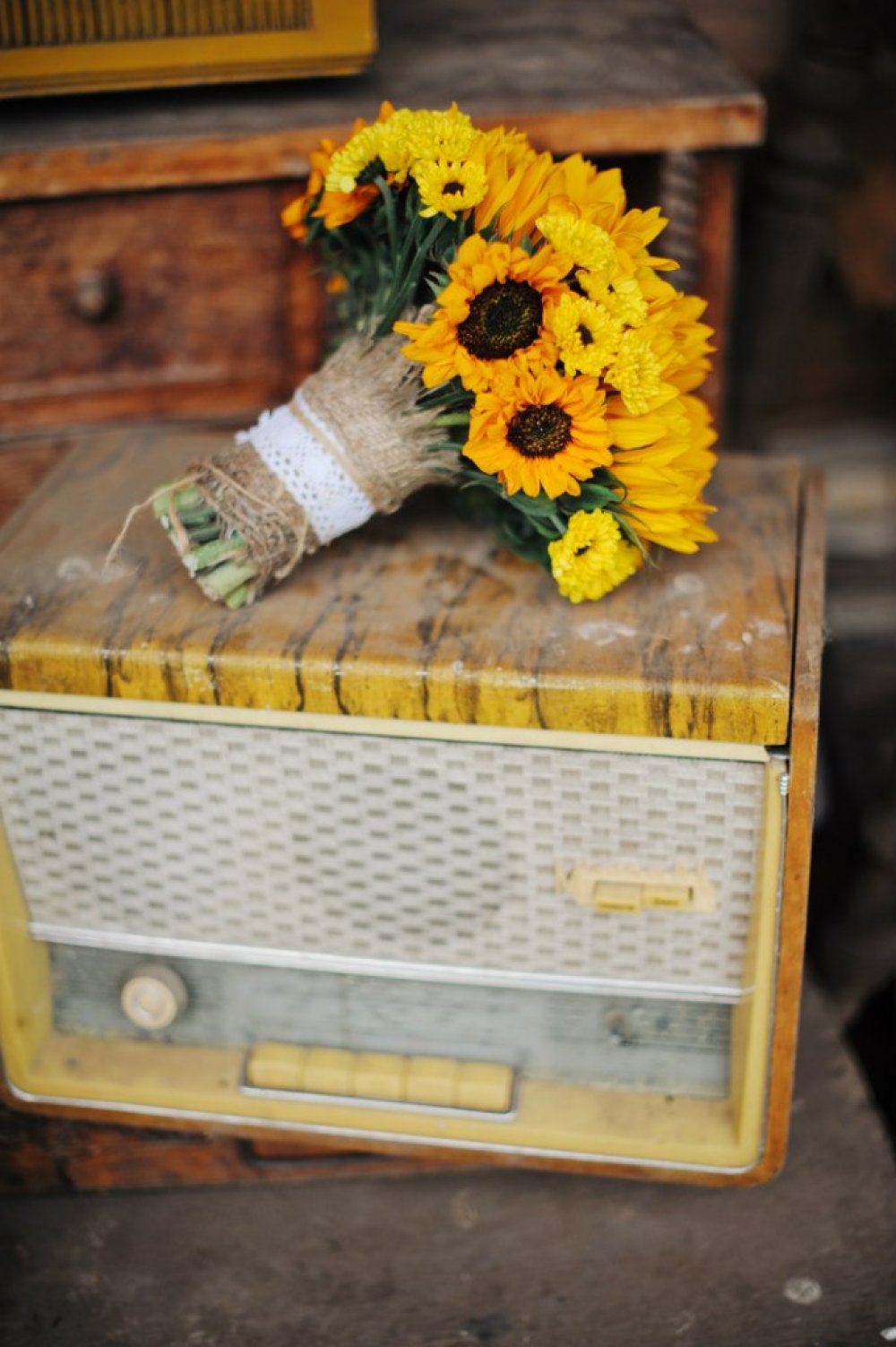 Sunflower Love
фотограф Михаил Круглов