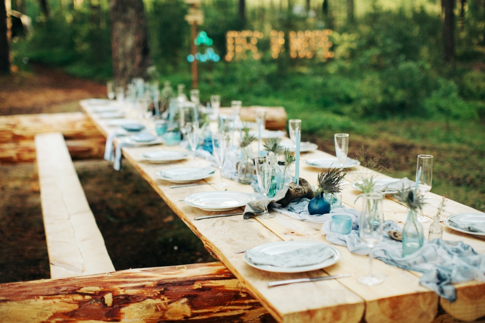 Сервировка в лесу