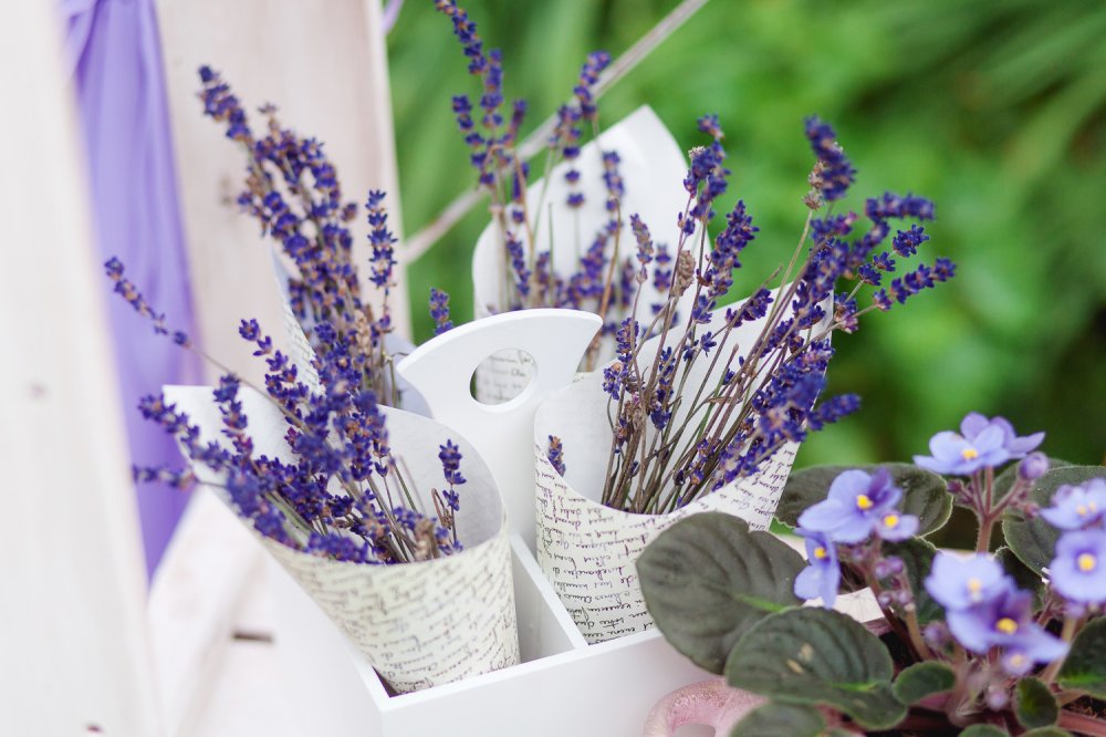 Свадьба в стиле Прованс