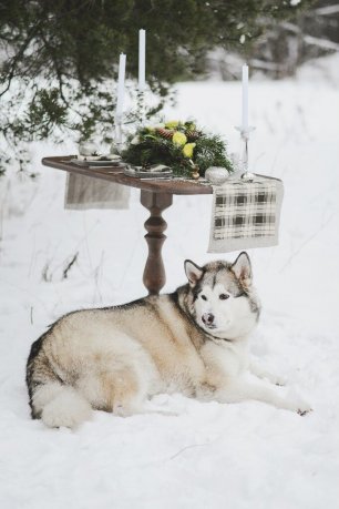 Зимняя лавстори
