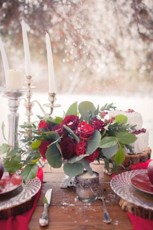 Зимняя флористика