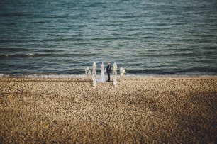 Годовщина Александра и Дарьи