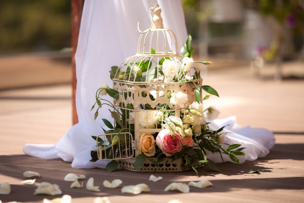 оформление живыми цветами декоративной клетки