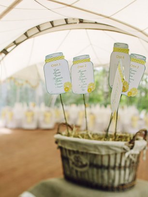 Интересная идея плана рассадки гостей