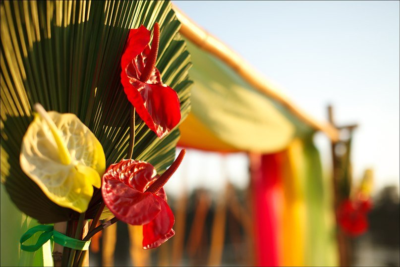 флористика