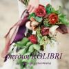студия KOLIBRI