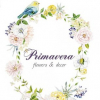 Cтудия декора Primavera