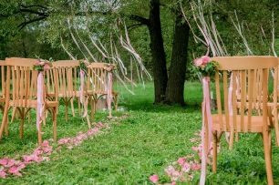 Выездная церемония под раскидистым деревом