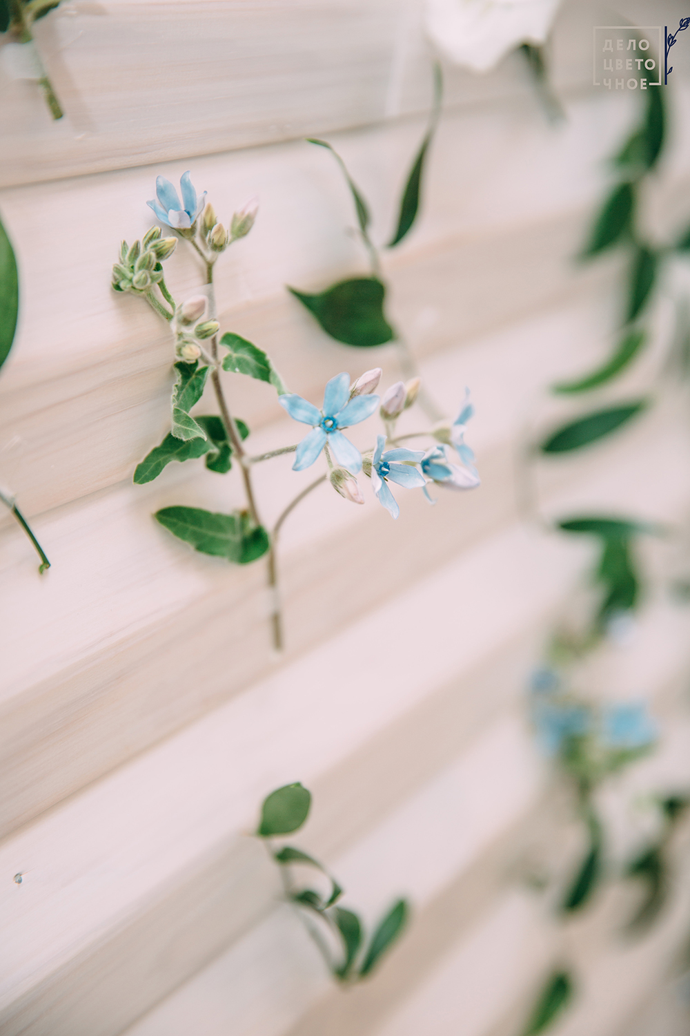 Оформление свадьбы в Forest Symphony