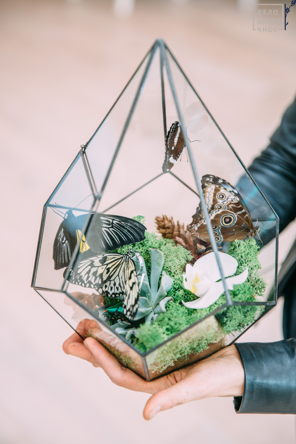 Оформление свадьбы в Forest Symphony