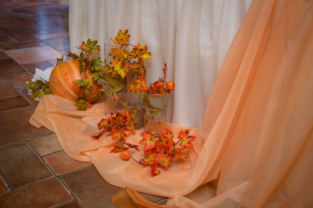 Описание фотографии