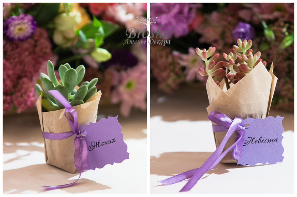 Описание фотографии