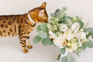 Букет невесты. Белая свадьба