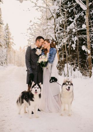 декор ЛенТа