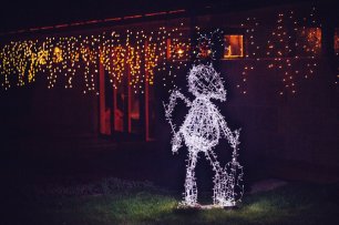 Светящийся кузнечик