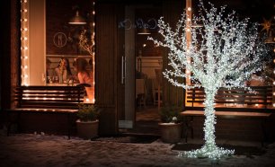 Зимняя вишня