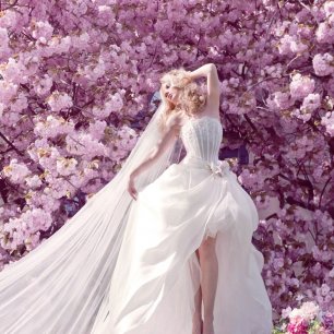 Sacura Dress