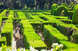 Свадебная прогулка