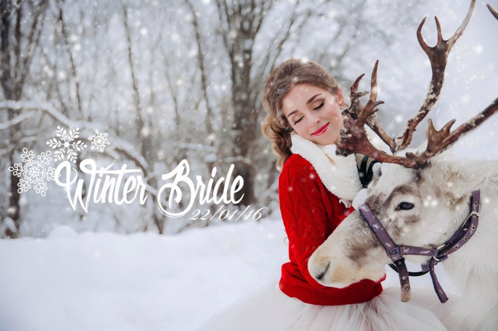 Прическа, макияж: Романчук Ольга 