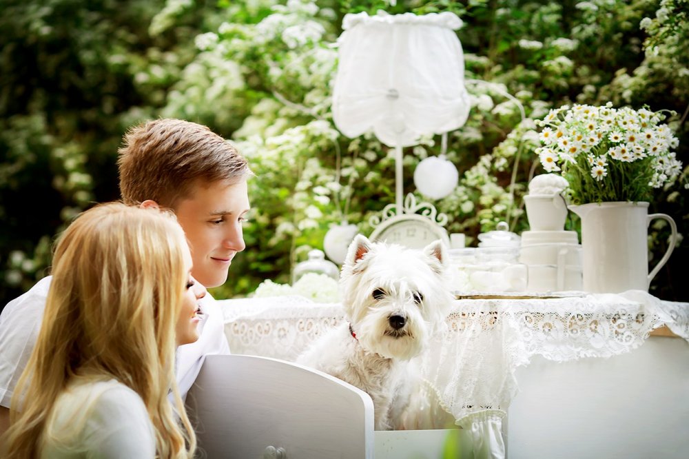 Оформление фотосессий и лавстори