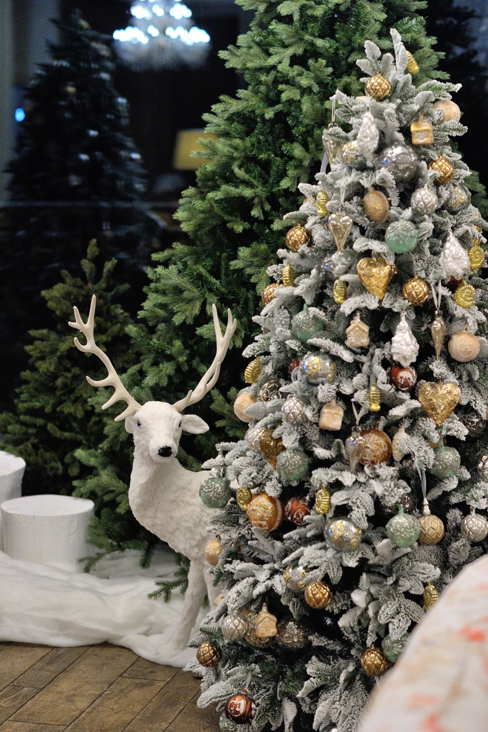 Описание фотографии