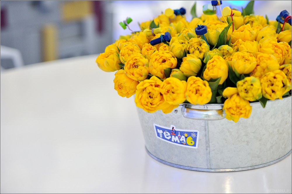 Описание фотографии