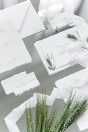 Сад космических размышлений