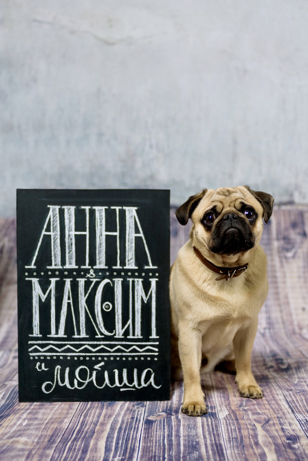 Наша меловая мини-доска на фотосессии Анны, Максима и Мойшы