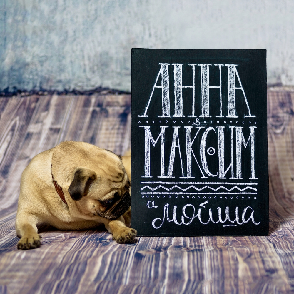 Наша меловая мини-доска на фотосессии Анны, Максима и Мойши