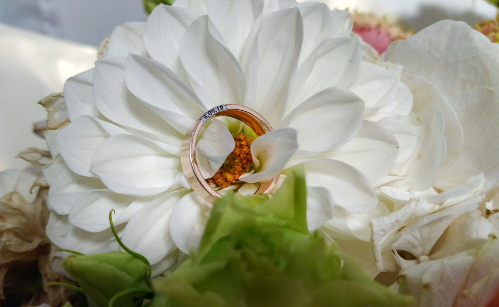 Обручальные кольца NV19