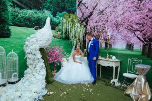 Роскошная фотозона: птица счастья и цветущая сакура