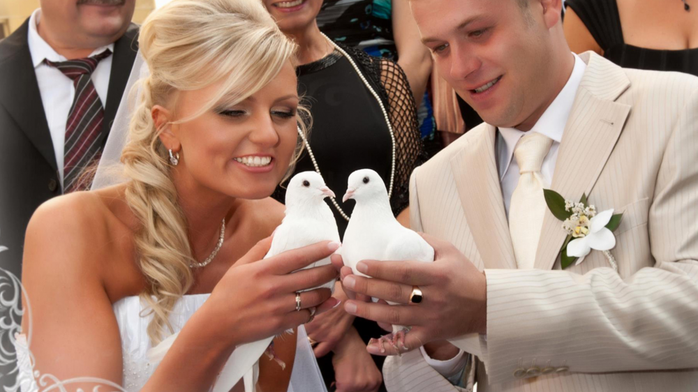 Ведущий свадьбы в Таллинне