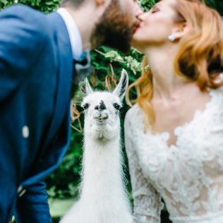 30 самых вдохновляющих фото сентября