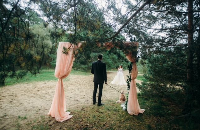  фотограф ДМИТРИЙ ПАВЛОВ