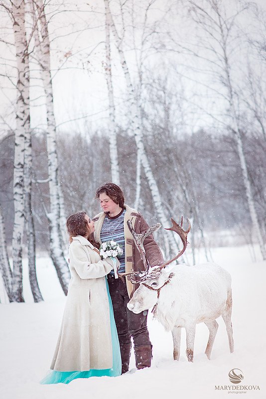 свадебная фотосессия в цвете тиффани с северным оленем
