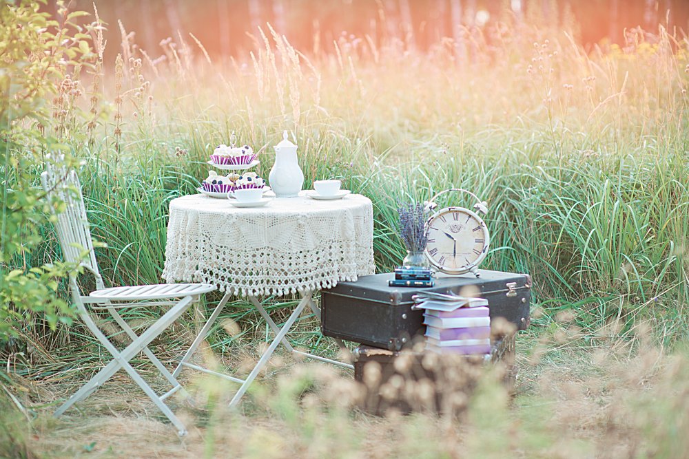 лавандовая свадьба в Битцевском парке