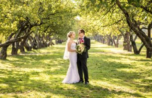 Солнечный день